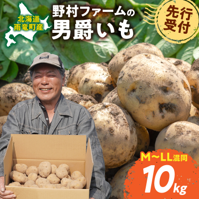 【先行予約】【9月下旬発送】北海道産 じゃがいも 男爵 10kg  男爵芋 ジャガイモ 芋 いも 秋野菜 季節の野菜 直送農場 北海道雨竜町産 サイズ混同 野菜 U012-0004