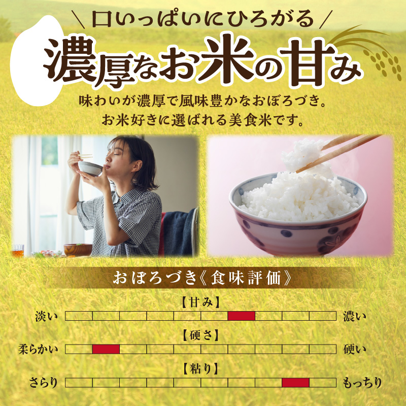 【定期便全4回】令和7年産 川越さんちの おぼろづき 5kg（5kg×1袋）毎月1回お届け 雨竜産 おぼろづき 精米 定期便 5kg お米 おにぎり お弁当 お取り寄せ 北海道 雨竜町