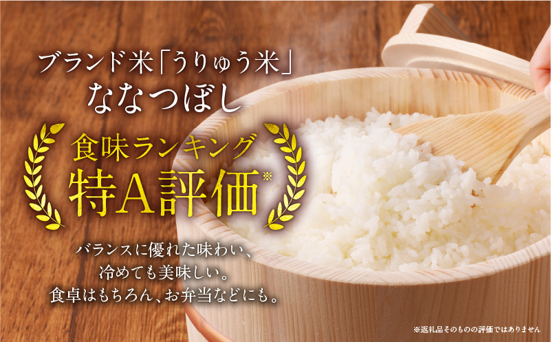 【新米予約】令和8年産【定期便全6回】 うりゅう米 ななつぼし 10kg（5kg×2袋）毎月1回お届け お米 米 ごはん ご飯 6ヶ月 定期便 特A 単一原料米 お弁当 国産 人気 おすすめ 雨竜町 R8U001-044