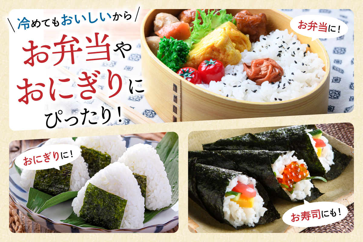 令和7年産 金王冠 精米 雨竜町ななつぼし 5kg 北海道 おにぎり お弁当 特A おいしい R7U013-001