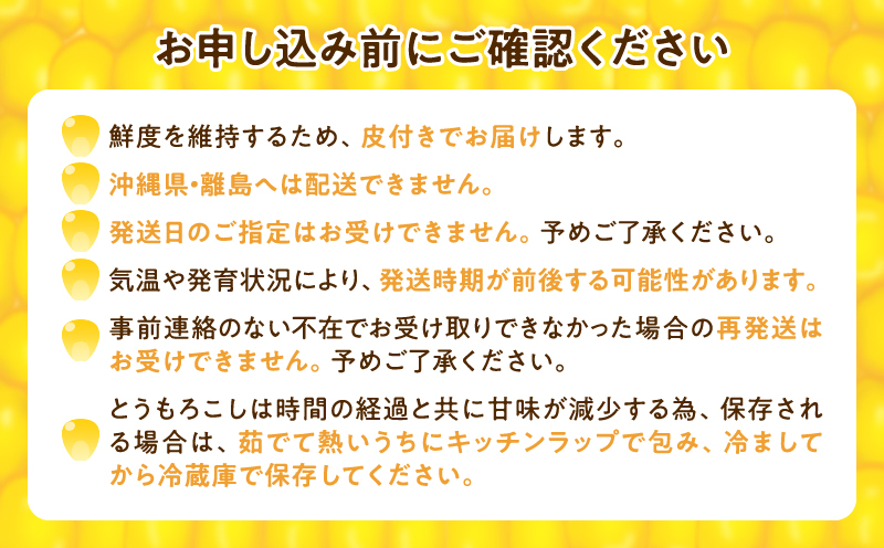 【令和8年産先行受付】生でも美味しい！ とうもろこし 「 サニーショコラ 」 10本（Lサイズ）【配送不可地域：沖縄・離島】