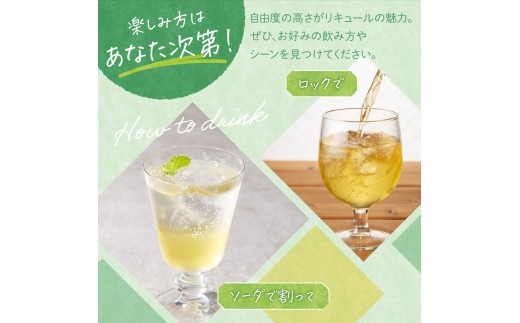 【選べる数量】暑寒メロンリキュール 300ml × 1~2本