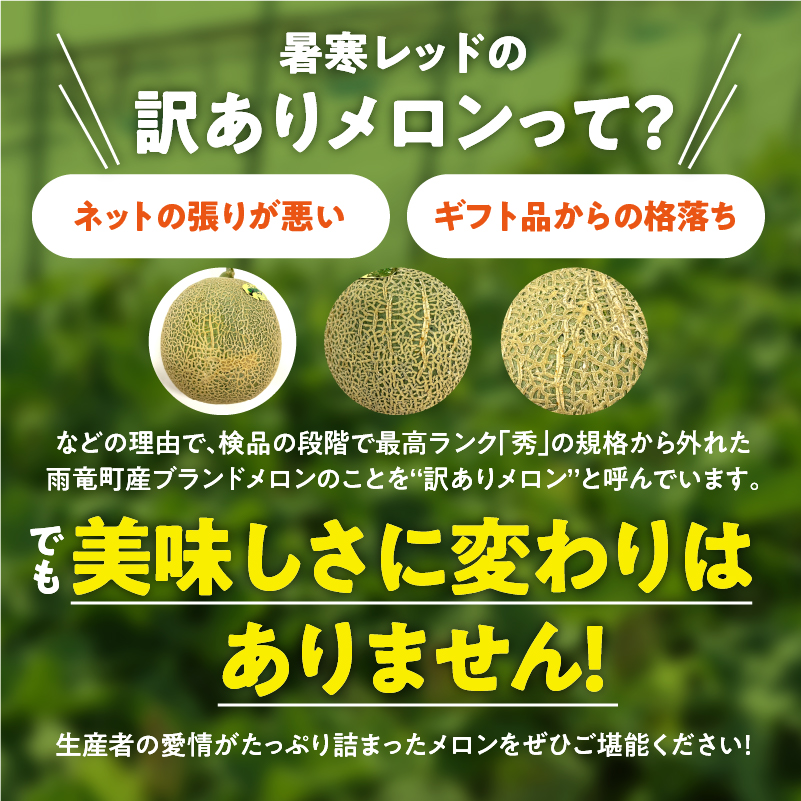 【令和8年産先行予約】【訳あり】北海道メロン 暑寒レッド 2玉 (3.2kg以上×1箱)《2026年9月より発送予定》ワケあり 家庭用 赤肉メロン わけあり 規格外 傷 不揃い くだもの フルーツ メロン めろん 9月 北海道 雨竜町