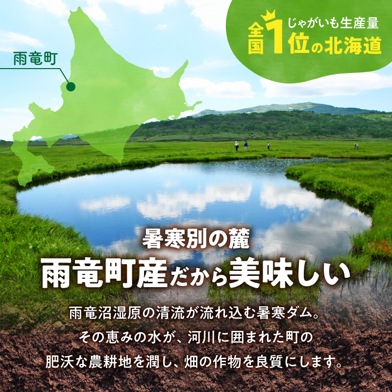 【先行予約】【9月下旬発送】北海道産 じゃがいも 男爵 10kg  男爵芋 ジャガイモ 芋 いも 秋野菜 季節の野菜 直送農場 北海道雨竜町産 サイズ混同 野菜 U012-0004