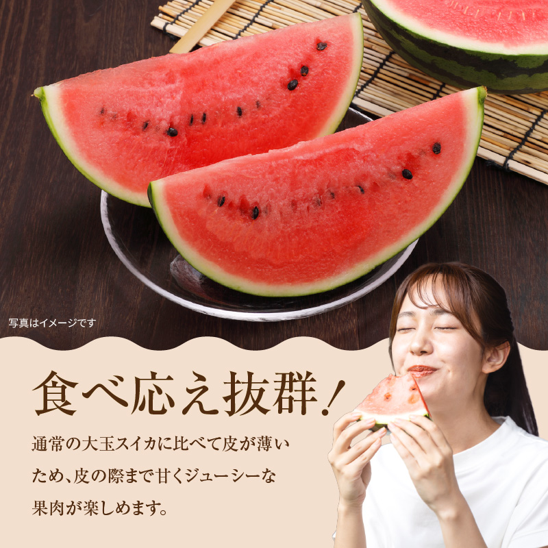 【関東地方までの配送】【令和8年産先行受付】北海道雨竜町産 小玉スイカ 「マダーボール」2玉