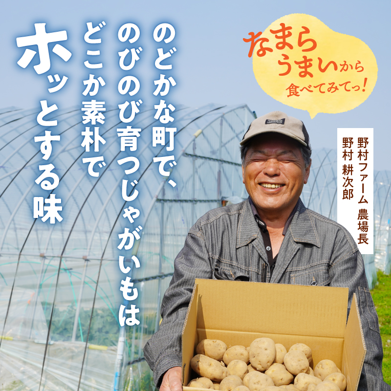 【先行予約】【9月下旬発送】北海道産 じゃがいも食べ比べセット 「きたあかり・男爵」 5kg  ジャガイモ 芋 いも 秋野菜 季節の野菜 直送農場 北海道雨竜町産 サイズ混同 野菜 U012-0005