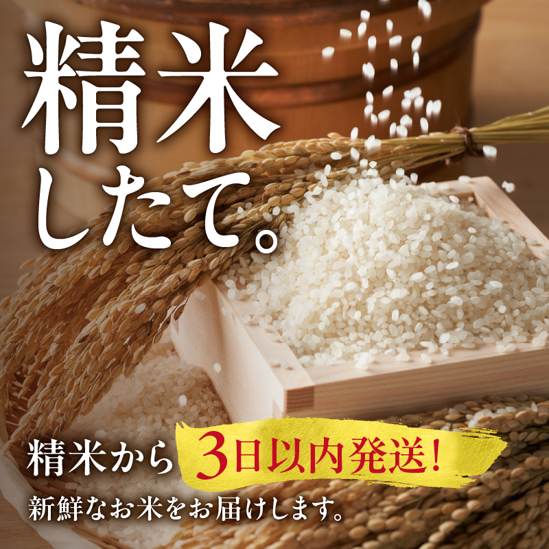 【9月発送】うりゅう米 ゆめぴりか 2kg （1kg×2袋）