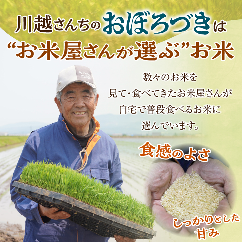 【定期便全4回】令和7年産 川越さんちの おぼろづき 10kg（5kg×2袋）毎月1回お届け 雨竜産 おぼろづき 精米 定期便 10kg お米 おにぎり お弁当 お取り寄せ 北海道 雨竜町