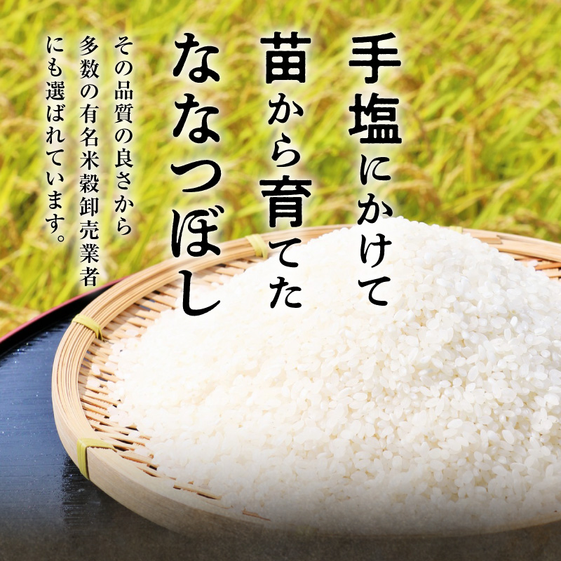 【お試しサイズ ！ 2合】 令和7年産 北海道産 ななつぼし 精米 300g (300g×1袋) 特A 雨竜町 お米 米 厳選 人気
