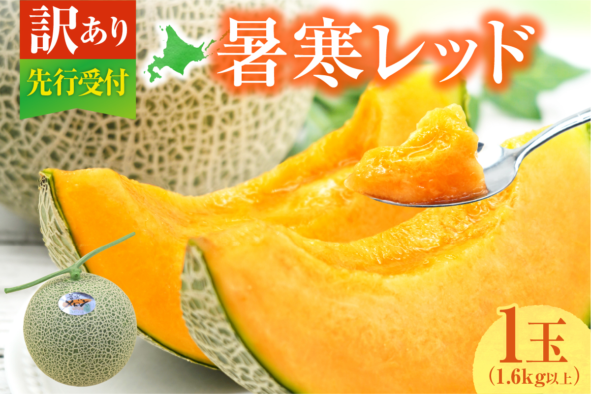 【令和8年産先行予約】【訳あり】北海道メロン 暑寒レッド 1玉 (1.6kg以上×1箱)《2026年9月より発送予定》ワケあり 家庭用 赤肉メロン わけあり 規格外 傷 不揃い くだもの フルーツ メロン めろん 9月 北海道 雨竜町