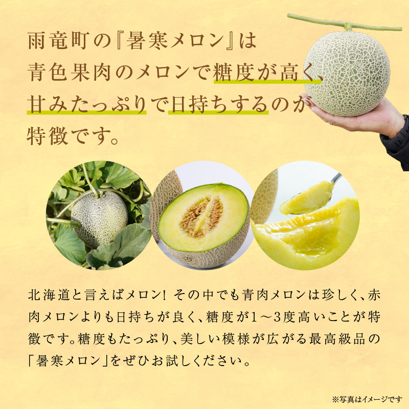 【令和8年産先行予約】北海道産 暑寒メロン 4〜5玉 (8kg以上×1箱) 《2026年7月より発送予定》メロン 先行予約 北海道 青肉 糖度 14度以上 2026年 7月 大容量 ブランドメロン