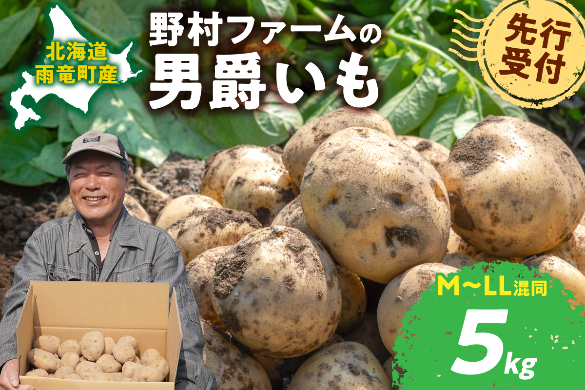 【先行予約】【9月下旬発送】北海道産 じゃがいも 男爵 5kg  男爵芋 ジャガイモ 芋 いも 秋野菜 季節の野菜 直送農場 北海道雨竜町産 サイズ混同 野菜 U012-0003