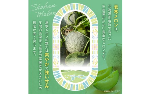 【選べる数量】暑寒メロンリキュール 300ml × 1~2本