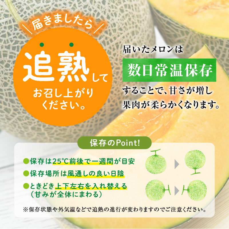 【令和8年産先行予約】【訳あり】北海道メロン 暑寒レッド 1玉 (1.6kg以上×1箱)《2026年9月より発送予定》ワケあり 家庭用 赤肉メロン わけあり 規格外 傷 不揃い くだもの フルーツ メロン めろん 9月 北海道 雨竜町