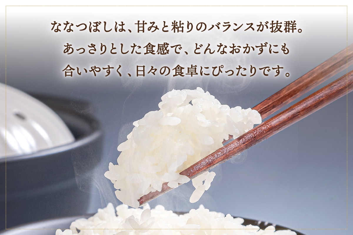 令和7年産 金王冠 精米 雨竜町ななつぼし 10kg(5kg×2) 北海道 おにぎり お弁当 特A 冷めても おいしい R7U013-002