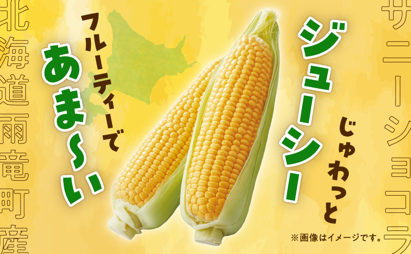 【令和8年産先行受付】生でも美味しい！ とうもろこし 「 サニーショコラ 」 10本（Lサイズ）【配送不可地域：沖縄・離島】