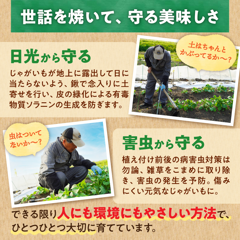 【先行予約】【9月下旬発送】北海道産 じゃがいも きたあかり 5kg 別名「栗じゃが」 甘くておいしい ジャガイモ 芋 いも 秋野菜 季節の野菜 直送農場 北海道雨竜町産 サイズ混同 野菜 U012-0001