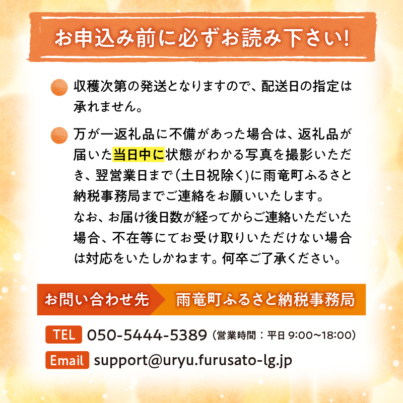 【令和8年産先行予約】【訳あり】北海道メロン 暑寒レッド 1玉 (1.6kg以上×1箱)《2026年9月より発送予定》ワケあり 家庭用 赤肉メロン わけあり 規格外 傷 不揃い くだもの フルーツ メロン めろん 9月 北海道 雨竜町