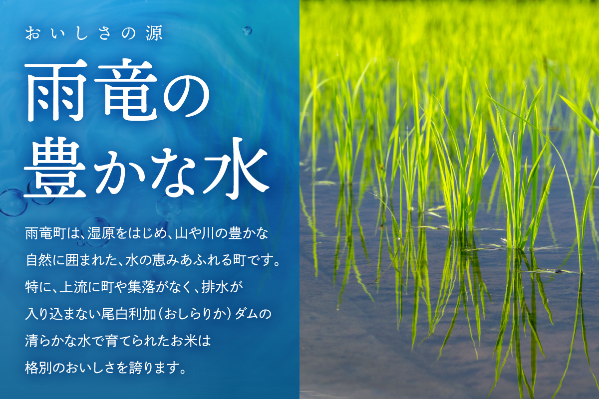 令和7年産 金王冠 精米 雨竜町ななつぼし 10kg(5kg×2) 北海道 おにぎり お弁当 特A 冷めても おいしい R7U013-002