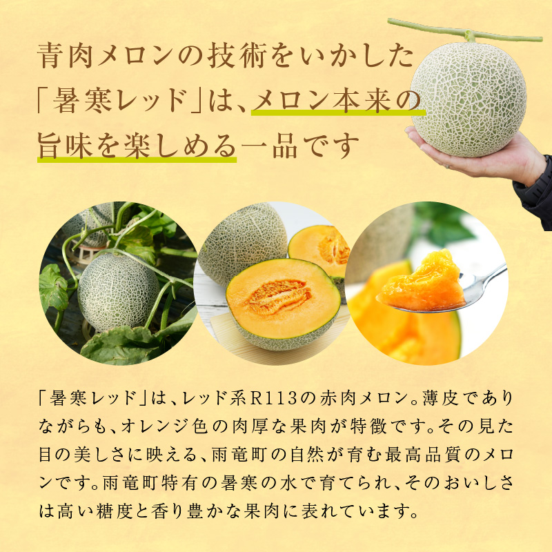 【令和8年産先行予約】北海道メロン 暑寒レッド 2玉 (3.2kg以上×1箱)《2026年9月より発送予定》メロン 先行予約 北海道 赤肉 糖度 14度以上 2026年 9月 ブランドメロン