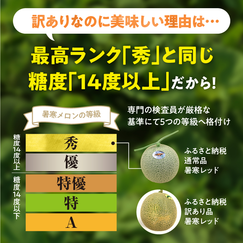 【令和8年産先行予約】【訳あり】北海道メロン 暑寒レッド 1玉 (1.6kg以上×1箱)《2026年9月より発送予定》ワケあり 家庭用 赤肉メロン わけあり 規格外 傷 不揃い くだもの フルーツ メロン めろん 9月 北海道 雨竜町