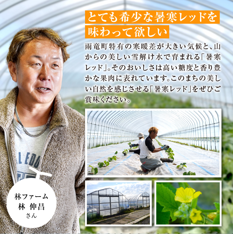【令和8年産先行予約】北海道メロン 暑寒レッド 4〜5玉 (8kg以上×1箱)《2026年9月より発送予定》メロン 先行予約 北海道 赤肉 糖度 14度以上 2026年 9月 大容量 ブランドメロン