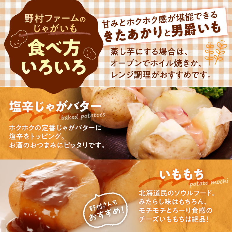 【先行予約】【9月下旬発送】北海道産 じゃがいも 男爵 5kg  男爵芋 ジャガイモ 芋 いも 秋野菜 季節の野菜 直送農場 北海道雨竜町産 サイズ混同 野菜 U012-0003