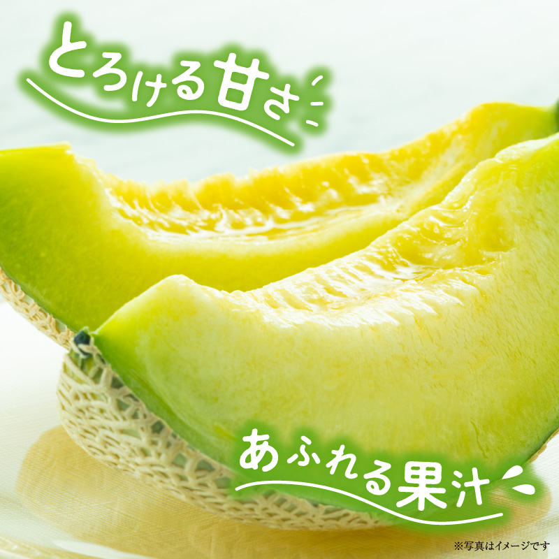 【令和8年産先行予約】北海道産 暑寒メロン 8〜10玉 (8kg以上×2箱) 《2026年7月より発送予定》メロン 先行予約 北海道 青肉 糖度 14度以上 2026年 7月 大容量 ブランドメロン