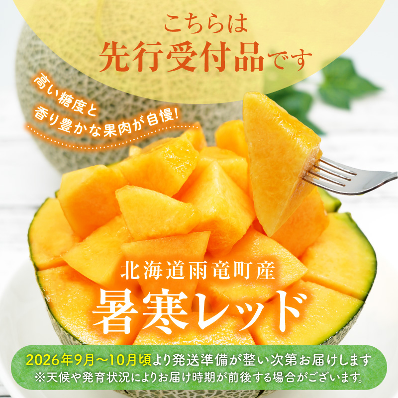 【令和8年産先行予約】北海道メロン 暑寒レッド 2玉 (3.2kg以上×1箱)《2026年9月より発送予定》メロン 先行予約 北海道 赤肉 糖度 14度以上 2026年 9月 ブランドメロン