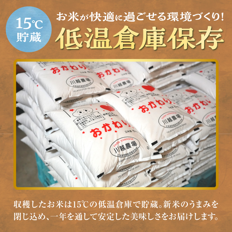 【定期便全6回】令和7年産 川越さんちの おぼろづき 玄米 5kg（5kg×1袋）毎月1回お届け 雨竜産 おぼろづき 玄米  定期便 5kg お米 おにぎり お弁当 お取り寄せ 北海道 雨竜町