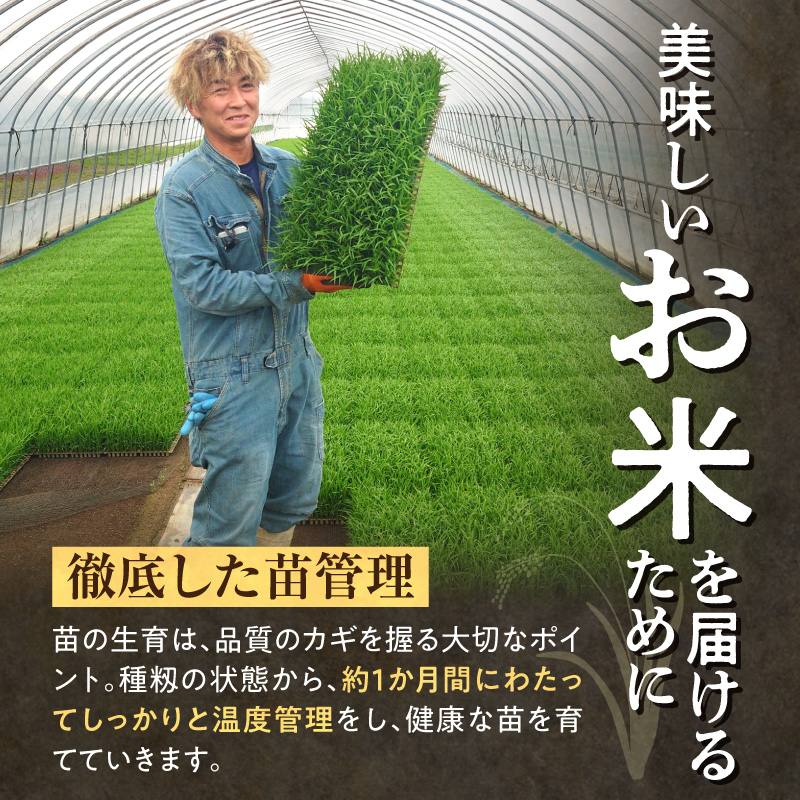【新米予約】令和８年産【隔月定期便全3回】 雨竜産 ななつぼし 精米 2kg（2kg×1袋）2ヶ月に1回お届け ＜ フジエファーム ＞