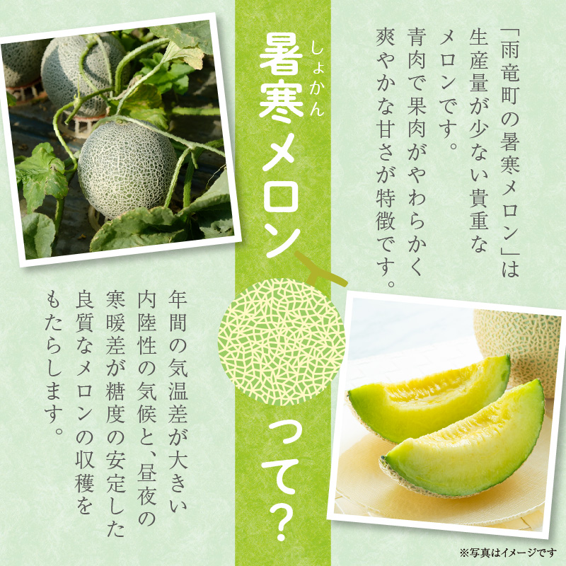 【 7月青肉・9月赤肉発送】北海道の贅沢　暑寒メロン食べ比べ2回便 【各2玉づつ】メロン 定期便 食べ比べ 先行予約 北海道 赤肉 青肉 糖度 14度以上 2026年 7月 9月 ブランドメロン