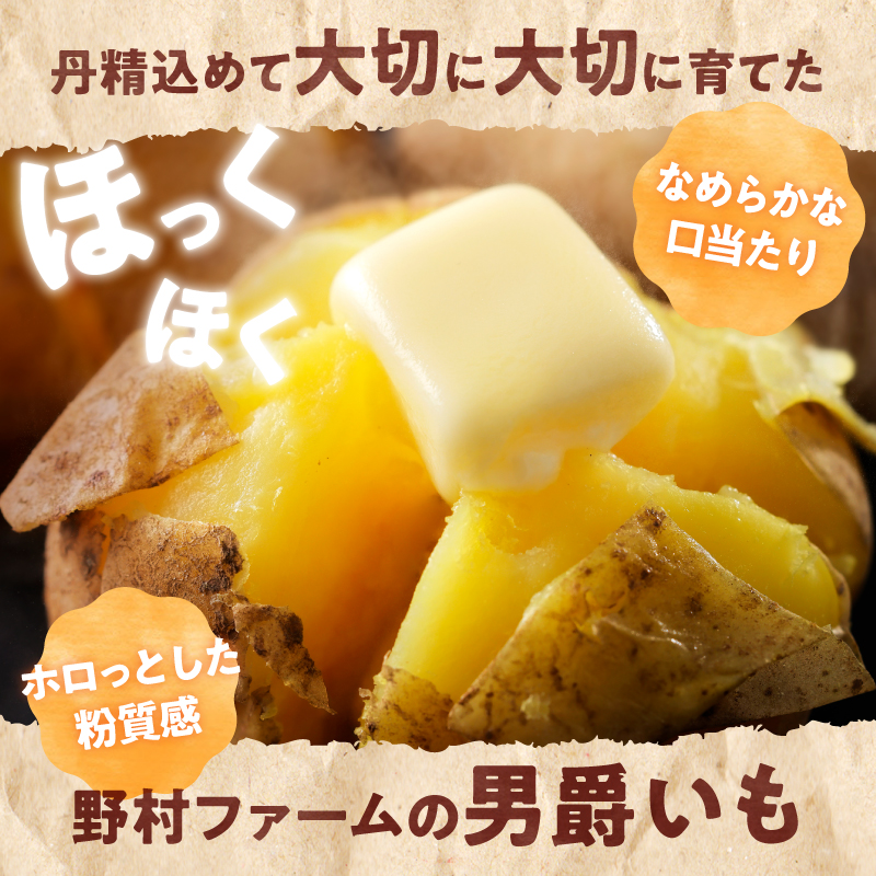 【先行予約】【9月下旬発送】北海道産 じゃがいも 男爵 5kg  男爵芋 ジャガイモ 芋 いも 秋野菜 季節の野菜 直送農場 北海道雨竜町産 サイズ混同 野菜 U012-0003
