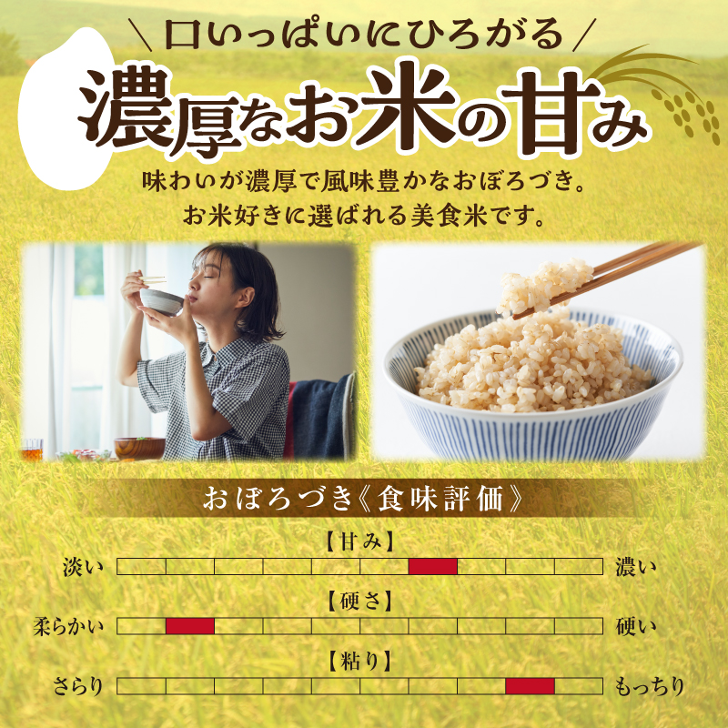 【定期便全4回】令和7年産 川越さんちの おぼろづき 玄米 5kg（5kg×1袋）毎月1回お届け 雨竜産 おぼろづき 玄米  定期便 5kg お米 おにぎり お弁当 お取り寄せ 北海道 雨竜町