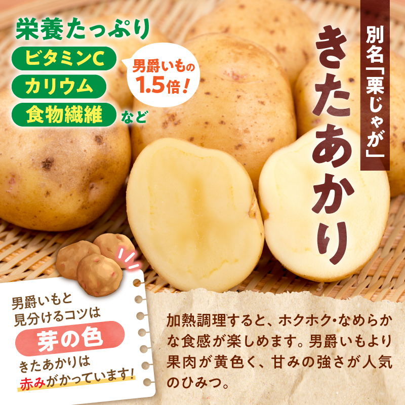 【先行予約】【9月下旬発送】北海道産 じゃがいも きたあかり 5kg 別名「栗じゃが」 甘くておいしい ジャガイモ 芋 いも 秋野菜 季節の野菜 直送農場 北海道雨竜町産 サイズ混同 野菜 U012-0001