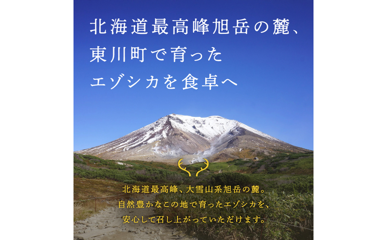 大雪山麓エゾシカシリーズ　鹿肉カレー3食セット