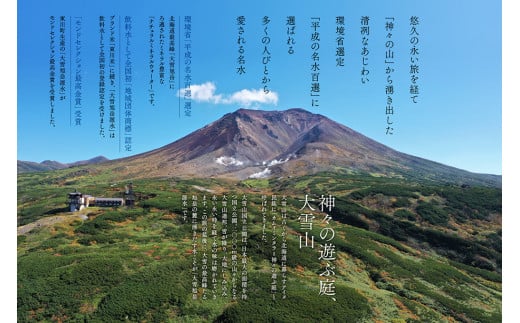 【2ヵ月定期便】大雪旭岳源水（500ml×24本）