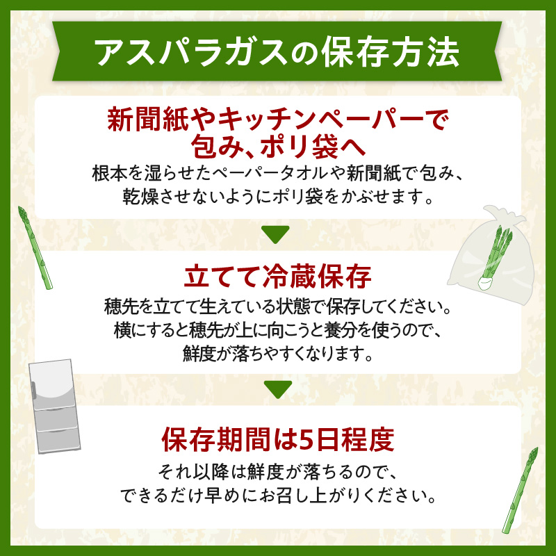 【2026年発送先行予約！】アスパラガス M・L混合 1kg！ 【アスパラ アスパラガス 野菜 旬 北海道産 2026年 アスパラガス 産直 産地直送 お取り寄せ 清水町 北海道】