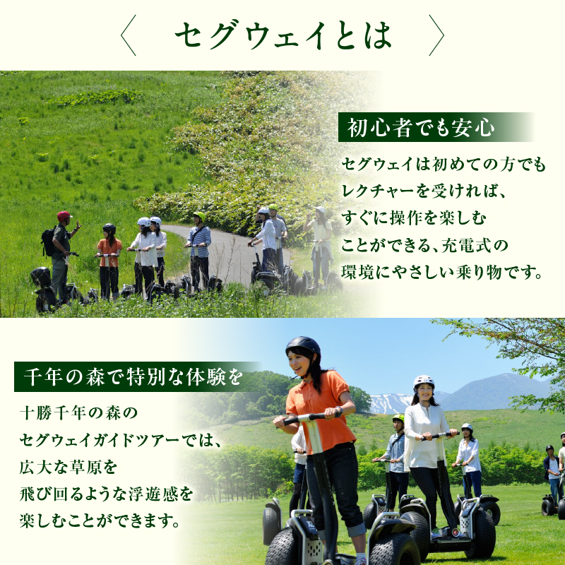 十勝千年の森 入場券＋セグウェイツアー券 2名分【北海道 清水町 自然 十勝千年の森 十勝毎日新聞社 ガーデン 入場券 セグウェイ セグウェイ社公認 レジャー おでかけ】