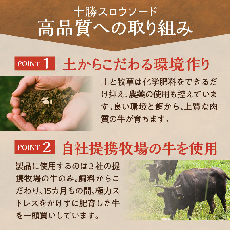 【隔月6回定期便】受賞歴多数！人気の牛とろ丼セット 140g 牛とろのお肉でつくった醤入り牛とろ丼のたれ付き【 清水町 牛とろ ぎゅうとろ ギュウトロドン 牛肉 醤牛 牛トロ 牛とろ 牛肉 牛肉 醤 牛肉フレーク ご飯のお供 牛トロフレーク 牛とろ 北海道 清水町】