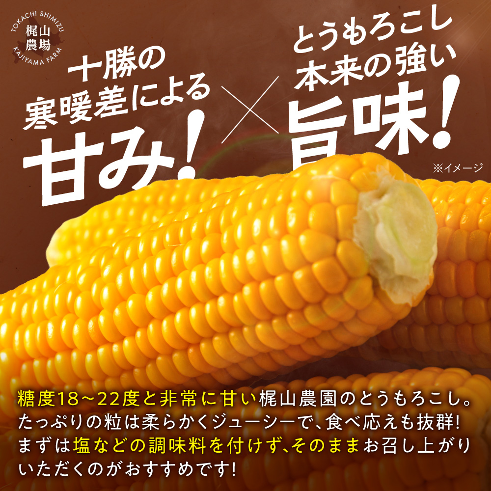 先行受付！【2026年8月頃～発送開始！】北海道十勝清水町産 恵味 サイズ混合 10本 北海道産 2026年 とうもろこし とうきび 産直 産地直送 清水町 北海道