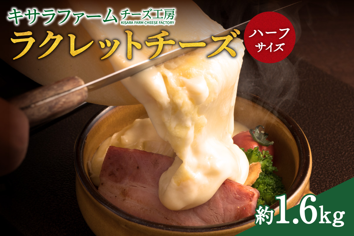 キサラファームチーズ工房のラクレット チーズハーフサイズ ！【 ドリア グラタン パンに乗せて！食べ方様々、ラクレット約1.6㎏をお届け カルボナーラ フランスパン パスタ グラタン ドリア おつまみ お取り寄せ 北海道 清水町】_S002-0005