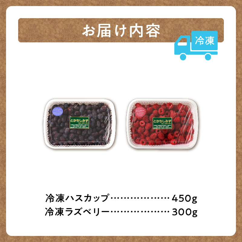 【2026年発送先行予約！】とかちしみず フルーツガーデン の ハスカップ 450g & ラズベリー 300g セット 【 計750g 詰め合わせ フランボワーズ 木苺 生 果物 フルーツ ジャム 甘酸っぱい 冷凍 お取り寄せ 北海道 清水町  】