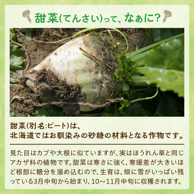 【3回定期便】 ホクレン の 上白糖 1kg × 5袋 【 定期便 てん菜  北海道産 砂糖 お菓子 料理 調味料 ビート お取り寄せ 北海道 清水町  】