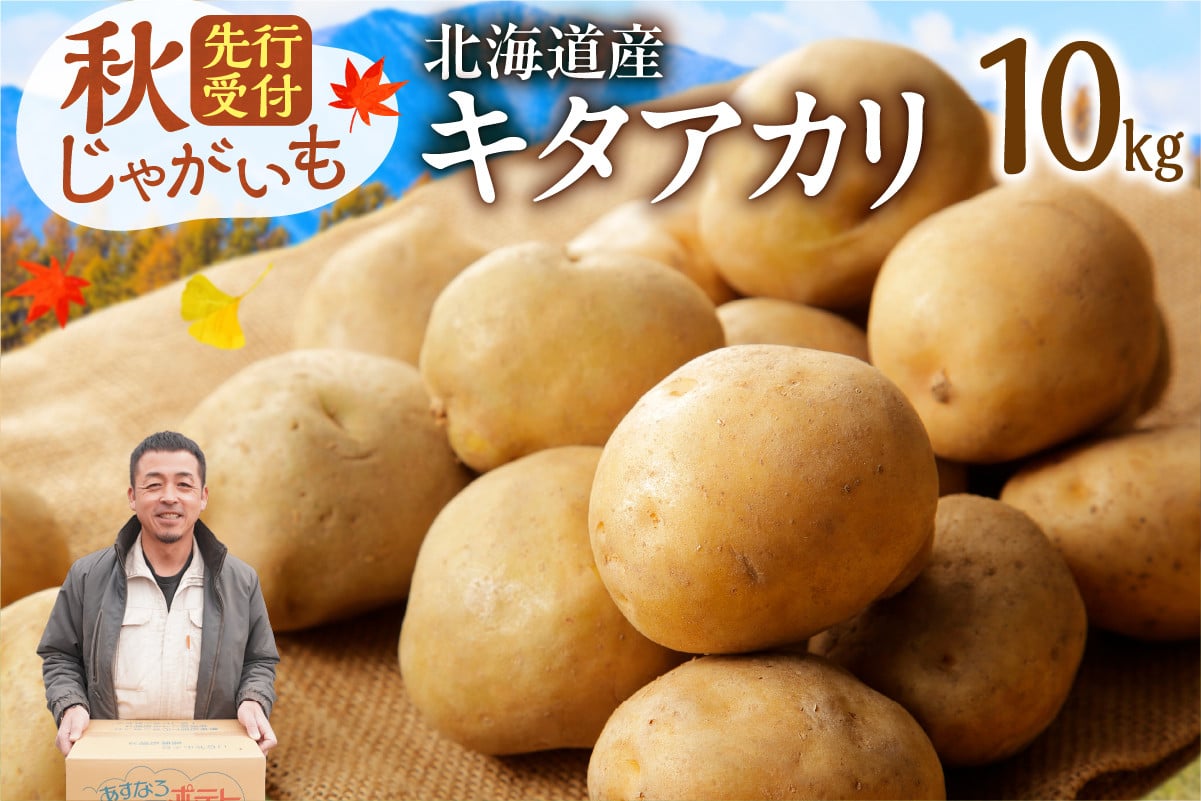 今が旬！すぐ届く！北海道の味覚定番！鮮やかな黄色と甘みが特徴の「キタアカリ」 ホクホク！しっとりなめらか！ 【北海道産 キタアカリ いも じゃがいも きたあかり イモ 約10kg じゃがいも いも 芋 産地直送 秋】