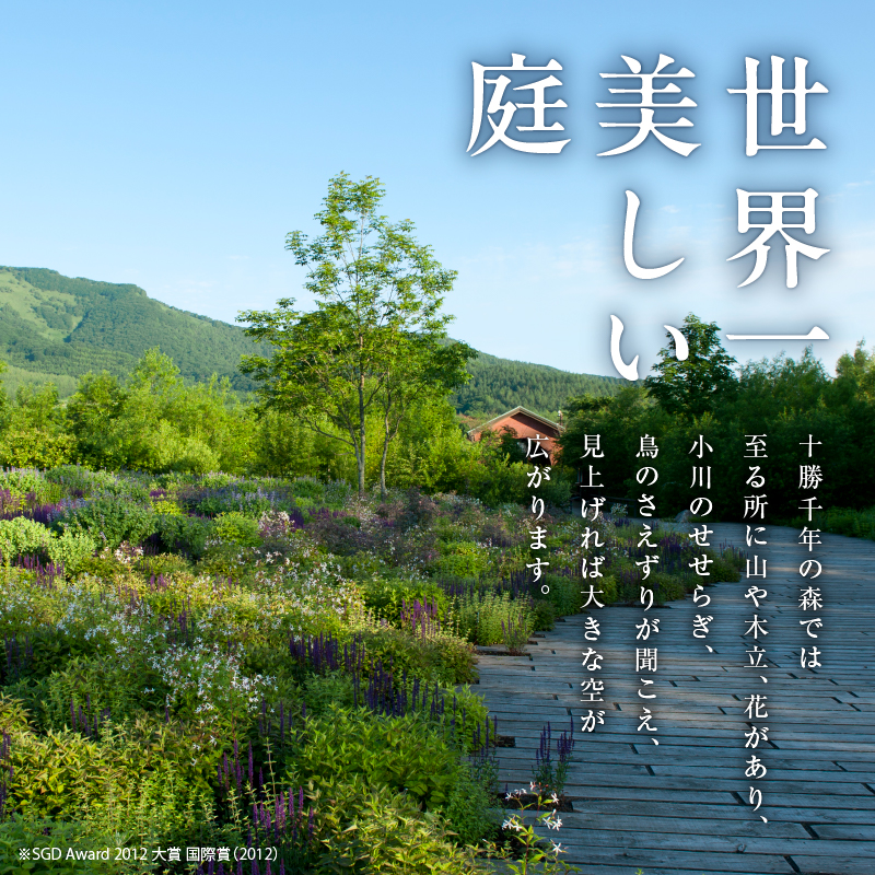 十勝千年の森 入場券 大人1名分【北海道 清水町 自然 十勝千年の森 十勝毎日新聞社 ガーデン 入場券 1名 レジャー おでかけ】