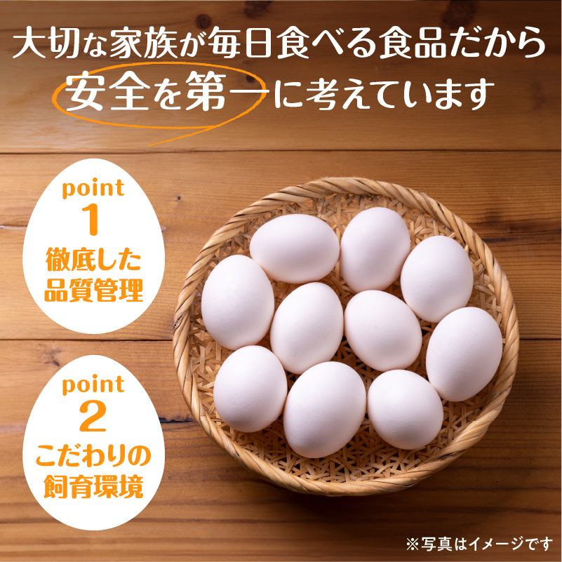 【6回定期便】大平原ファームの新鮮でおいしい卵 計50個(赤卵)×6ヶ月【北海道 清水 卵 300個 赤卵 こだわり卵 卵かけご飯 玉子 タマゴ 卵焼き TKG 温泉卵 オムレツ ゆでたまご 栄養満点 国産 定期便】