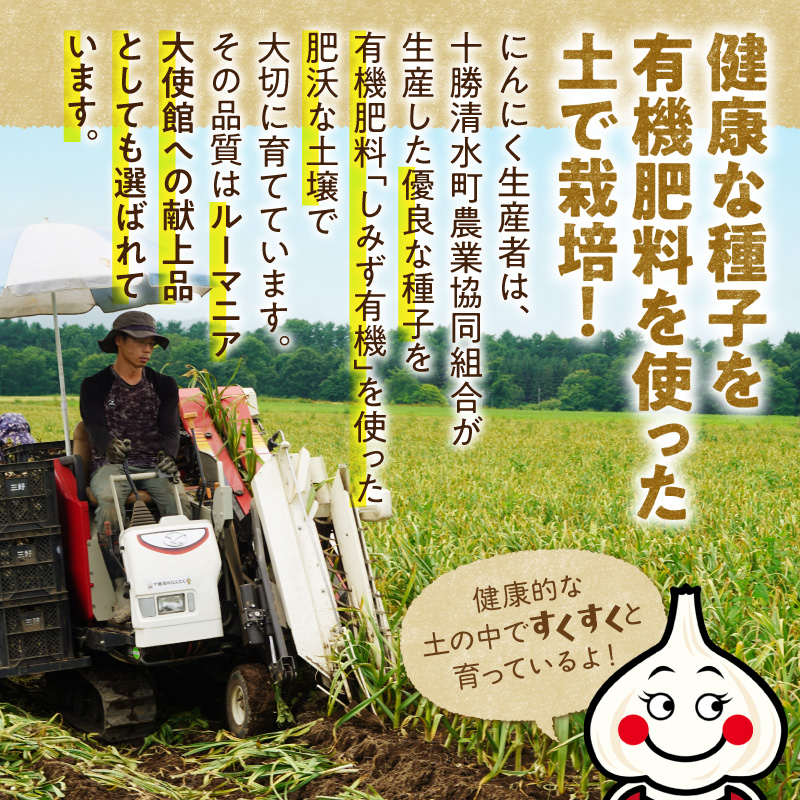 【北海道産】十勝育ちのにんにく バラ1kg にんにく ニンニク ガーリック にんにく 北海道産 にんにく_S021-0022