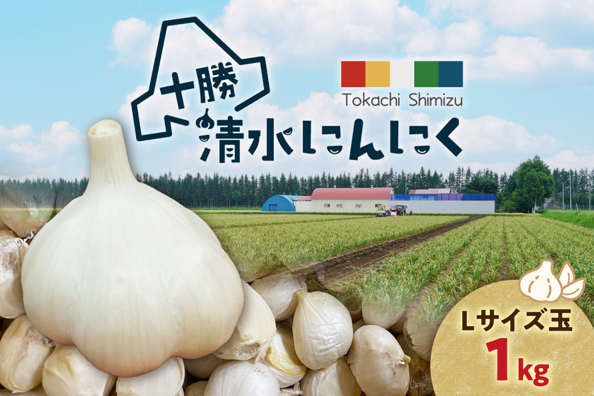 【北海道産】十勝育ちのにんにく Lサイズ(玉) 1kg にんにく ニンニク ガーリック にんにく 北海道産 にんにく_S021-0021
