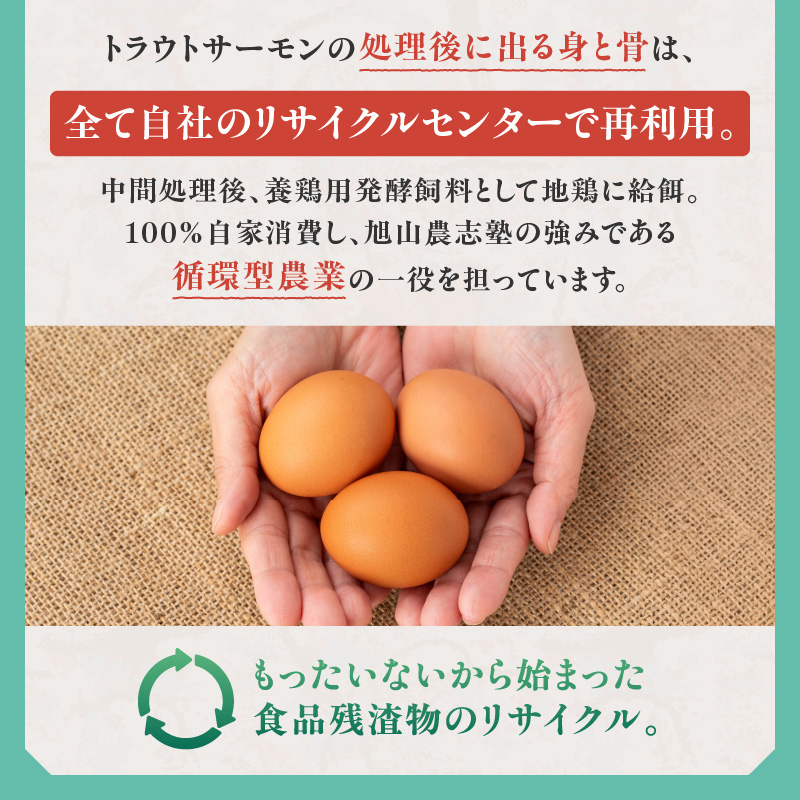 トラウトサーモンフィレ 1kg(半身3~5枚) フライやムニエル、お刺身や手巻き寿司まで！活用方法いろいろ！魚 魚介類 刺身 小分け 冷凍 鮭 さけ 海鮮 トラウト サーモン_S042-0002